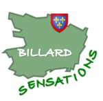 BILLARD SENSATION